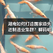 湖南如何打造国家级先进制造业集群？解码崛起密匙（图1）