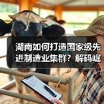 湖南如何打造国家级先进制造业集群？解码崛起密匙（图3）