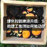 绿色智能建造升级:安徽建工集团如何推动建筑业高效转型?(图1) 绿色智能建造升级:安徽建工集团如何推动建筑业高效转型?(图1)