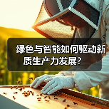 绿色与智能如何驱动新质生产力发展？（图4）