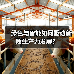 绿色与智能如何驱动新质生产力发展？（图3）