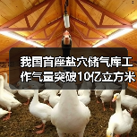 我国首座盐穴储气库工作气量突破10亿立方米,技术如何实现?(图2) 我国首座盐穴储气库工作气量突破10亿立方米,技术如何实现?(图2)