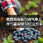 我国首座盐穴储气库工作气量突破10亿立方米,技术如何实现?(图4) 我国首座盐穴储气库工作气量突破10亿立方米,技术如何实现?(图4)