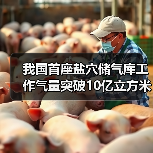 我国首座盐穴储气库工作气量突破10亿立方米，技术如何实现？