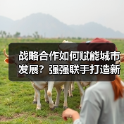 战略合作如何赋能城市发展？强强联手打造新标杆（图4）
