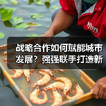 战略合作如何赋能城市发展？强强联手打造新标杆