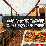 战略合作如何赋能城市发展？强强联手打造新标杆（图2）