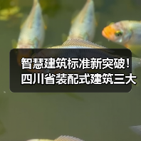 智慧建筑标准新突破!四川省装配式建筑三大新标准即将落地(图2) 智慧建筑标准新突破!四川省装配式建筑三大新标准即将落地(图2)