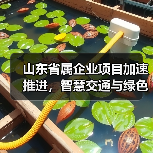 山东省属企业项目加速推进,智慧交通与绿色航运如何助力高质量发展?(图2) 山东省属企业项目加速推进,智慧交通与绿色航运如何助力高质量发展?(图2)
