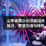 山东省属企业项目加速推进,智慧交通与绿色航运如何助力高质量发展?(图3) 山东省属企业项目加速推进,智慧交通与绿色航运如何助力高质量发展?(图3)