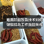 地面超前致裂技术如何破解孤岛工作面回采难题？（图2）