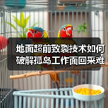 地面超前致裂技术如何破解孤岛工作面回采难题？（图1）