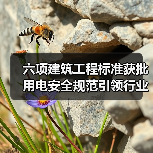 六项建筑工程标准获批 用电安全规范引领行业升级（图3）