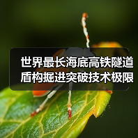 世界最长海底高铁隧道盾构掘进突破技术极限（图1）
