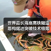 世界最长海底高铁隧道盾构掘进突破技术极限（图2）