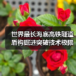 世界最长海底高铁隧道盾构掘进突破技术极限（图3）