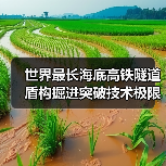 世界最长海底高铁隧道盾构掘进突破技术极限（图4）