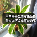 全国最长单洞双线铁路隧道如何攻克复杂地质难题？（图3）