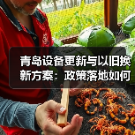 青岛设备更新与以旧换新方案:政策落地如何带动产业升级?(图1) 青岛设备更新与以旧换新方案:政策落地如何带动产业升级?(图1)