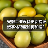 安徽工业设备更新提速 数字化转型如何加速?(图4) 安徽工业设备更新提速 数字化转型如何加速?(图4)