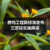 盾构工程新标准发布:三项目实施解读(图1) 盾构工程新标准发布:三项目实施解读(图1)