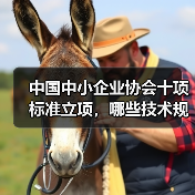 中国中小企业协会十项标准立项，哪些技术规程值得关注？（图4）