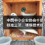 中国中小企业协会十项标准立项，哪些技术规程值得关注？（图2）