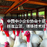 中国中小企业协会十项标准立项，哪些技术规程值得关注？（图1）
