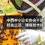 中国中小企业协会十项标准立项，哪些技术规程值得关注？（图3）