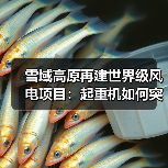 雪域高原再建世界级风电项目：起重机如何突破高海拔挑战？（图4）