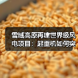 雪域高原再建世界级风电项目：起重机如何突破高海拔挑战？（图1）