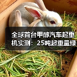 全球首台甲醇汽车起重机实测：25吨起重量绿色施工新标杆（图1）