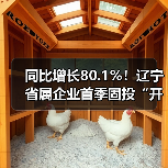 同比增长80.1%！辽宁省属企业首季固投“开门红”（图4）