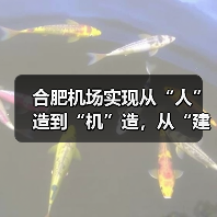 合肥机场实现从“人”造到“机”造，从“建造”到“智造”（图2）