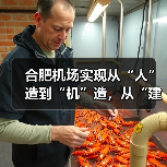 合肥机场实现从“人”造到“机”造，从“建造”到“智造”（图1）