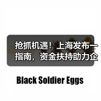 抢抓机遇！上海发布一指南，资金扶持助力企业腾飞！（图4）