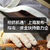 抢抓机遇！上海发布一指南，资金扶持助力企业腾飞！（图3）