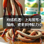 抢抓机遇！上海发布一指南，资金扶持助力企业腾飞！（图2）