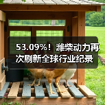 53.09%！潍柴动力再次刷新全球行业纪录（图2）