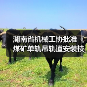 湖南省机械工协批准《煤矿单轨吊轨道安装技术规范》立项（图2）