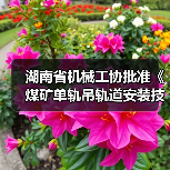 湖南省机械工协批准《煤矿单轨吊轨道安装技术规范》立项（图1）