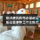 推进建筑和市政基础设施设备更新工作实施方案印发（图3）