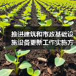 推进建筑和市政基础设施设备更新工作实施方案印发（图4）