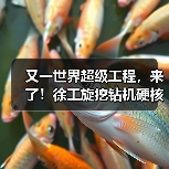 又一世界超级工程，来了！徐工旋挖钻机硬核助力（图4）