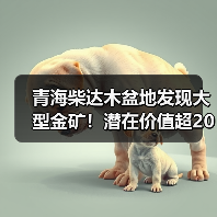 青海柴达木盆地发现大型金矿！潜在价值超200亿（图2）