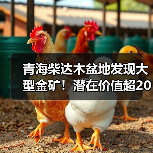 青海柴达木盆地发现大型金矿！潜在价值超200亿（图3）