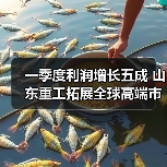 一季度利润增长五成 山东重工拓展全球高端市场（图4）