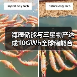 海辰储能与三星物产达成10GWh全球储能合作,谁更胜一筹?(图2) 海辰储能与三星物产达成10GWh全球储能合作,谁更胜一筹?(图2)