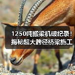 1250吨搬梁机破纪录!揭秘超大跨径桥梁施工神器(图2) 1250吨搬梁机破纪录!揭秘超大跨径桥梁施工神器(图2)