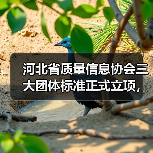 河北省质量信息协会三大团体标准正式立项,涉及起重机械接地规范等关键领域(图1) 河北省质量信息协会三大团体标准正式立项,涉及起重机械接地规范等关键领域(图1)